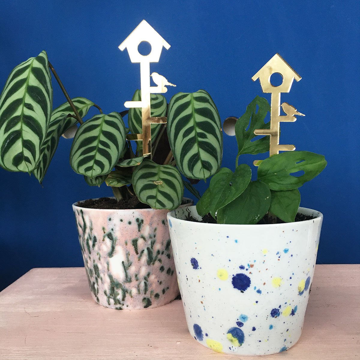 leafs plantenstandaardset