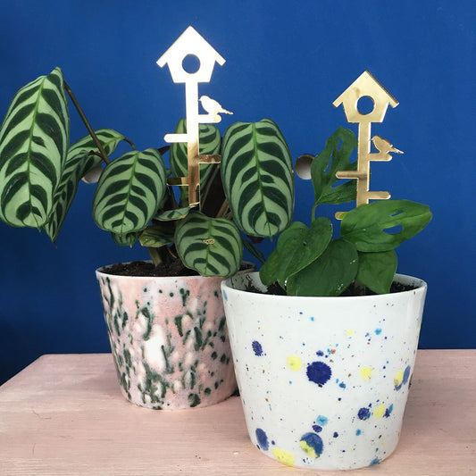 leafs plantenstandaardset